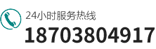 0391-3299600